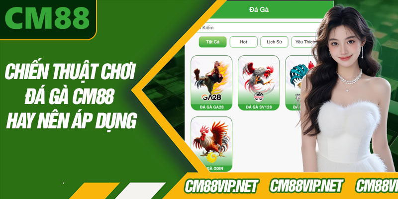 Chiến Thuật Chơi Đá Gà CM88 Hay Nên Áp Dụng