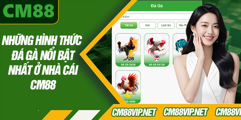 Những Hình Thức Đá Gà Nổi Bật Nhất Ở Nhà Cái CM88