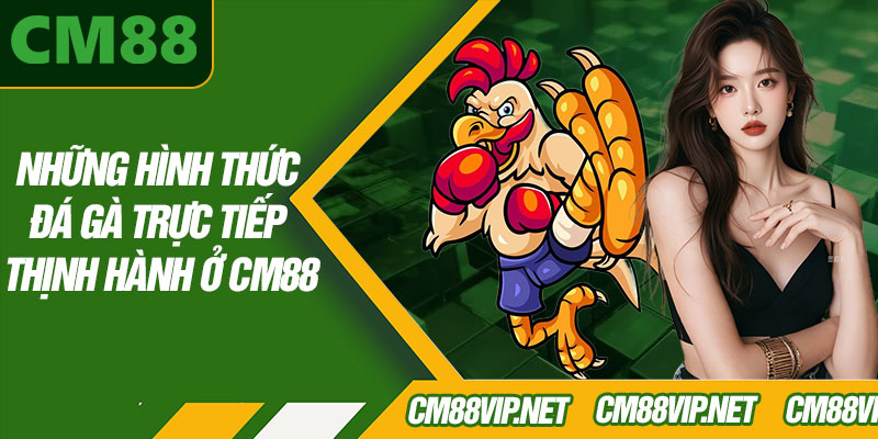 Những Hình Thức Đá Gà Trực Tiếp Thịnh Hành Ở CM88